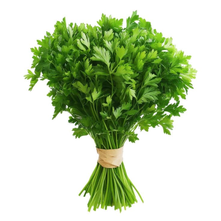 بقدونس