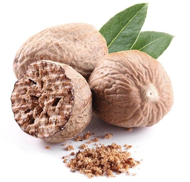 جوز الطيب