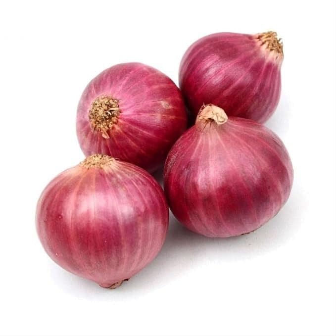 بصل احمر