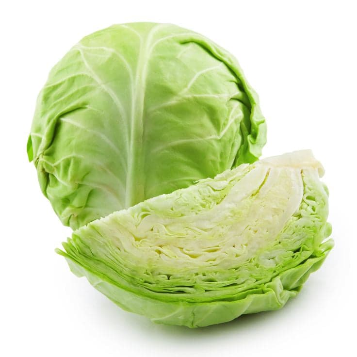 ملفوف